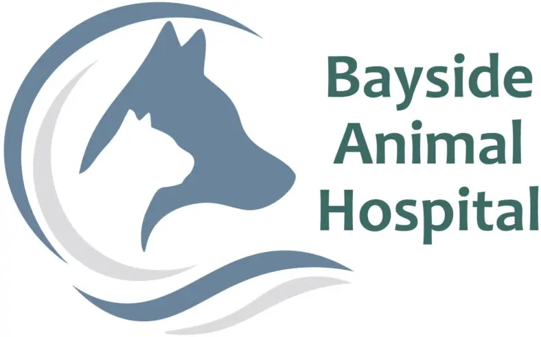 A logo of the bay spca.