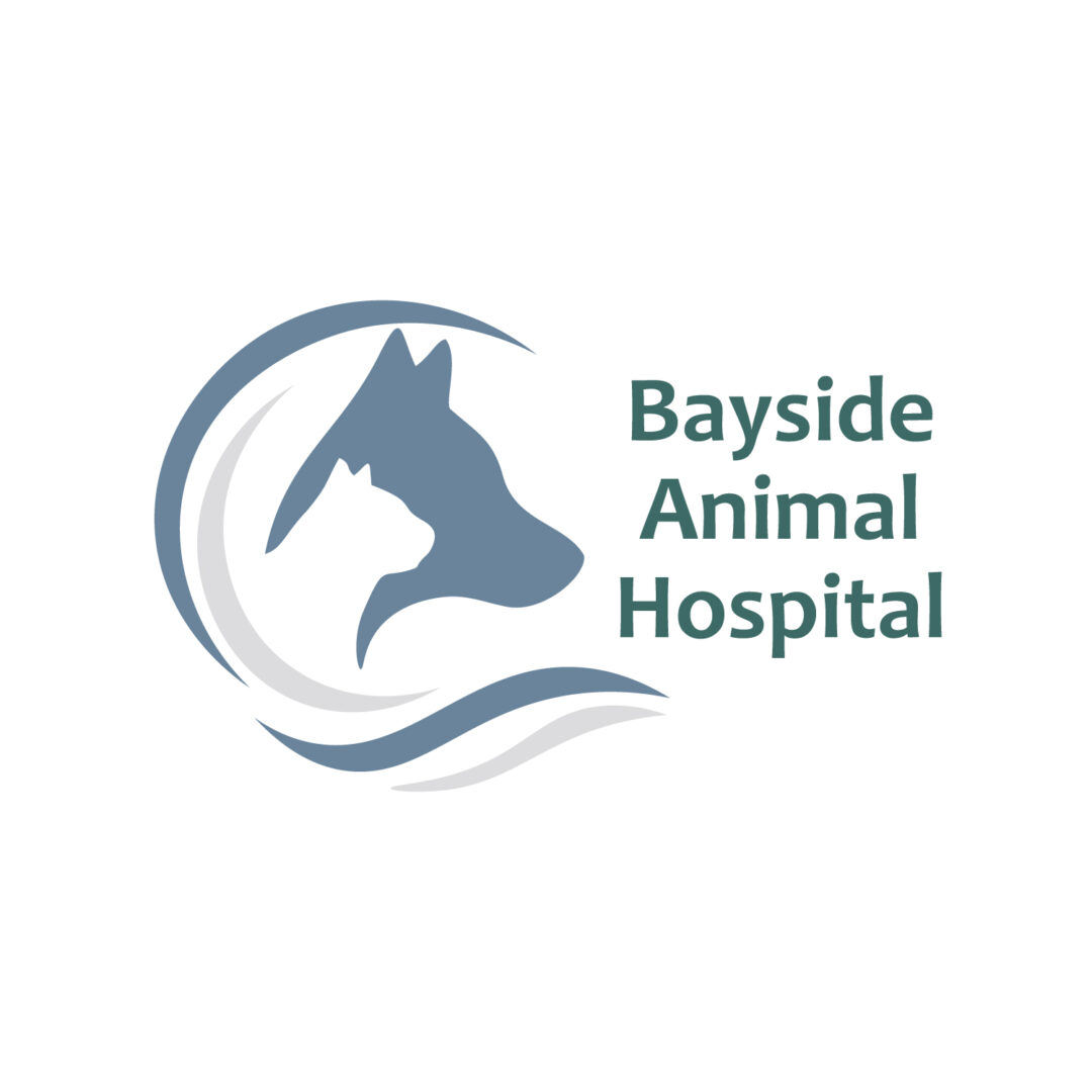 1278927_Bayside Animal Hospital_Bayside Animal
